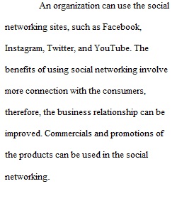 Case Study Social Networking and Social Responsibility